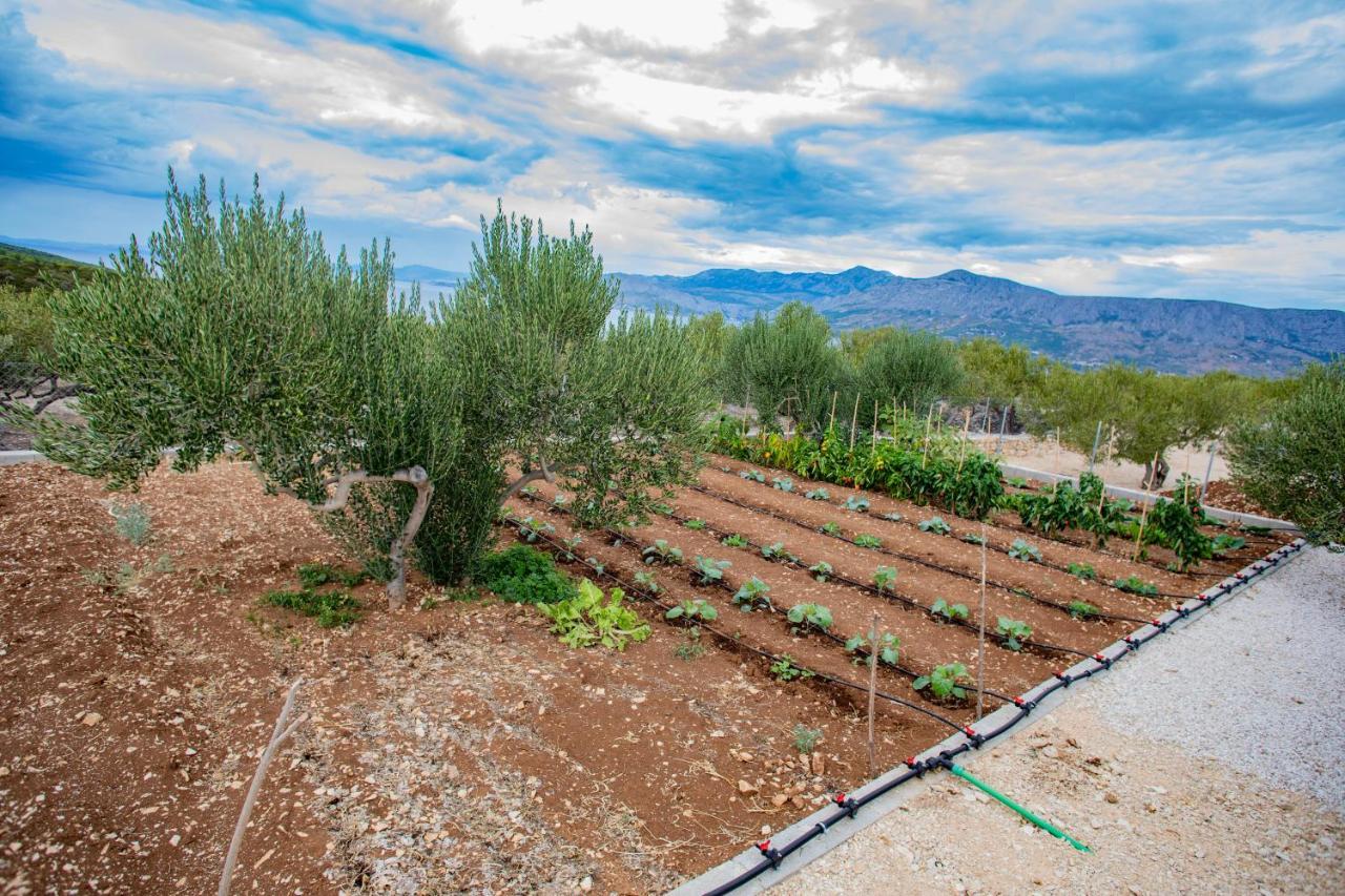 פוצ'ישצ'ה Opg Villa Meri מראה חיצוני תמונה
